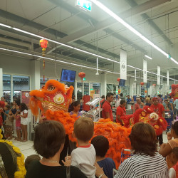 Nouvel an chinois 2019